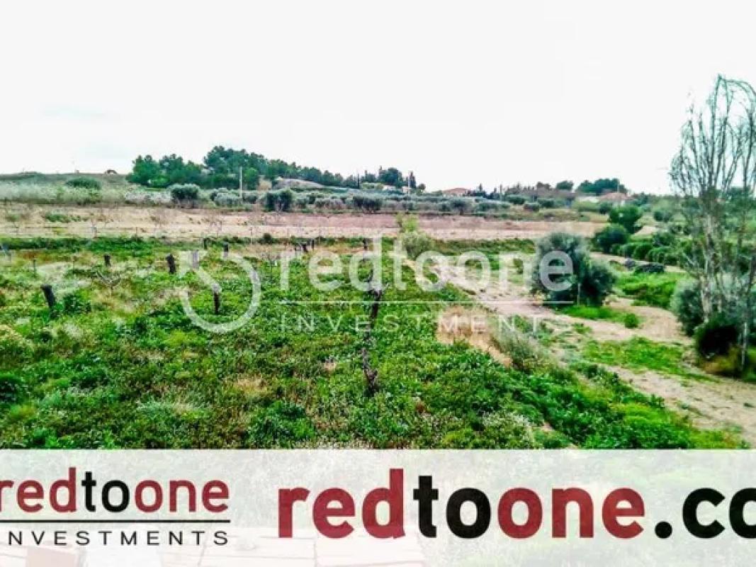Terreno en venta en Elche / Elx, Alicante photo 5