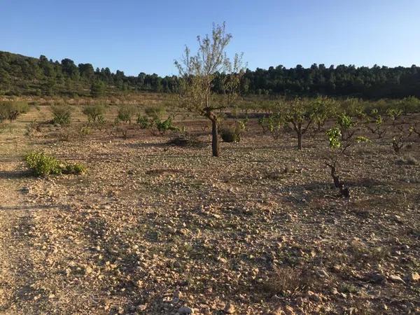 Terreno en Paraje La Calera s/n Sn photo 1