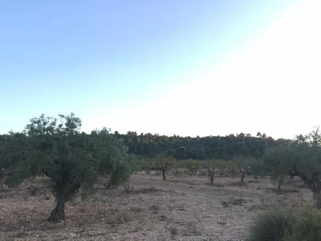 Terreno en venta en Villena, Alicante photo 2