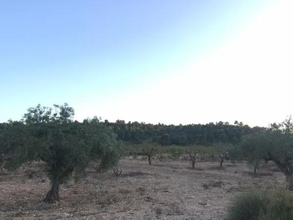 Terreno en Paraje La Calera s/n Sn thumbnail 1