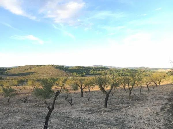 Terreno en Paraje La Calera s/n Sn thumbnail 2