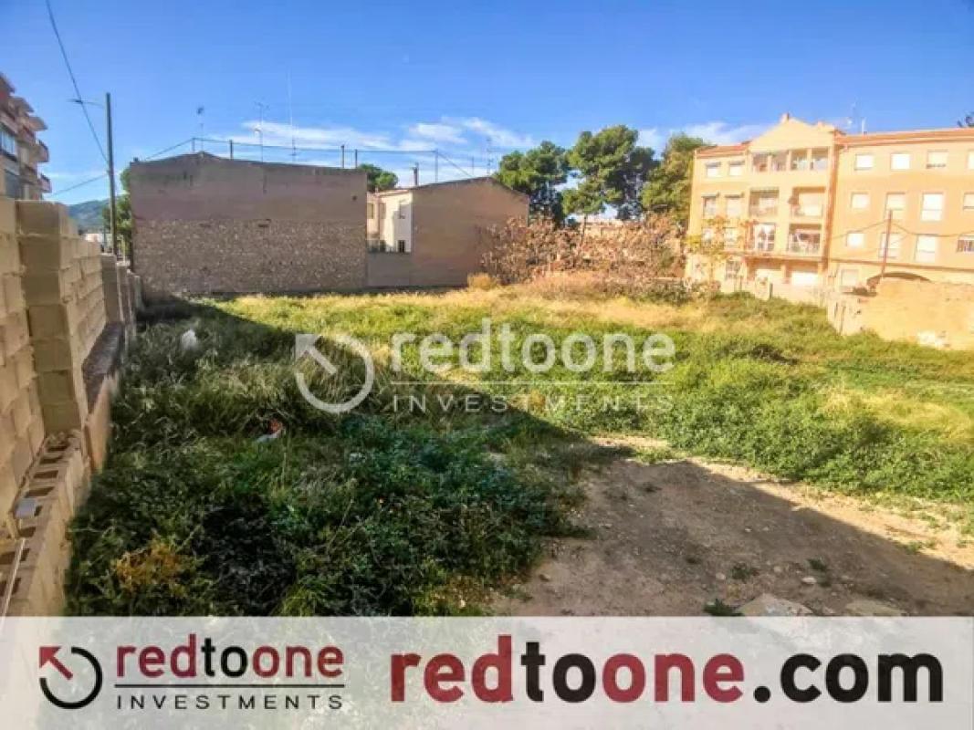 Land for sale in Monovar, Alicante photo 3