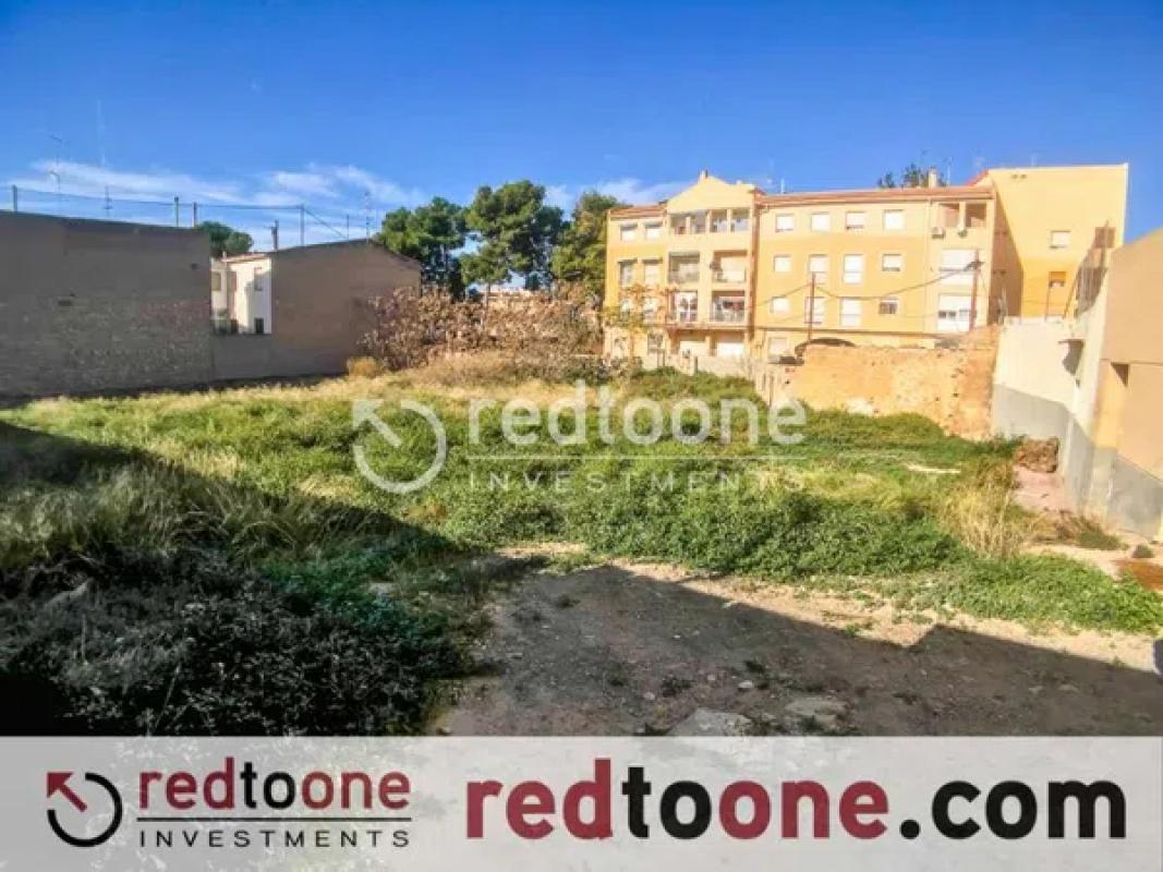 Land for sale in Monovar, Alicante photo 4