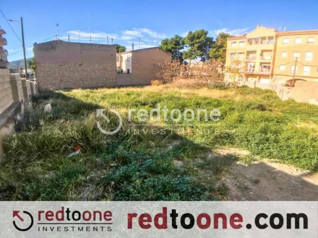 Land for sale in Monovar, Alicante photo 5
