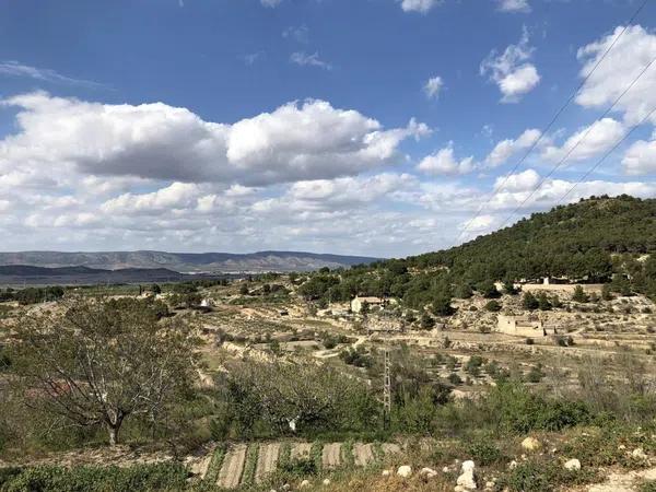 Terreno en Tejares, 6 photo 1