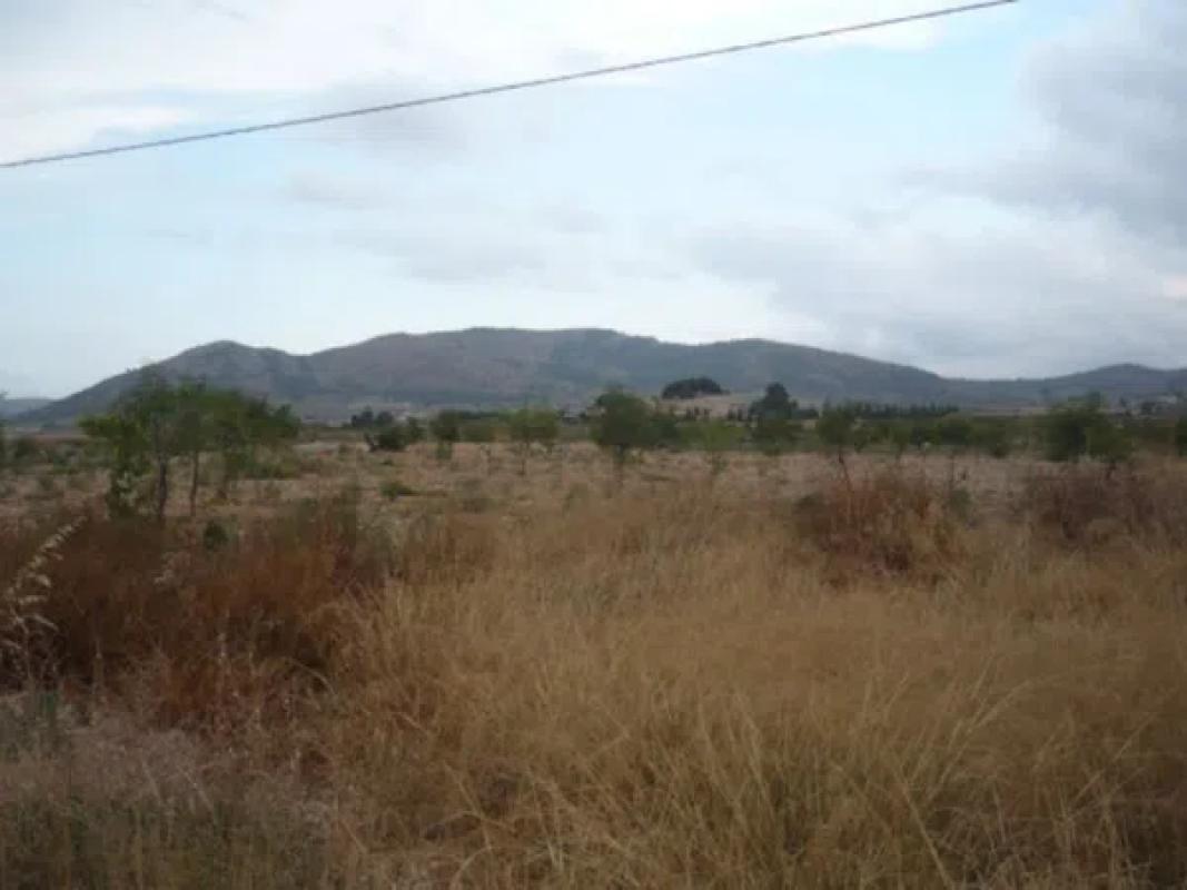 Land for sale in La Romana, Alicante photo 5