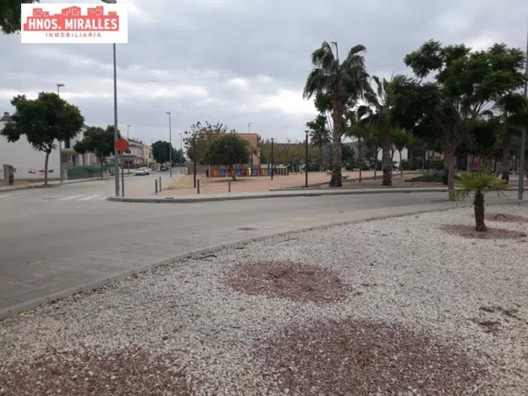 Land for sale in Dolores, Alicante photo 3
