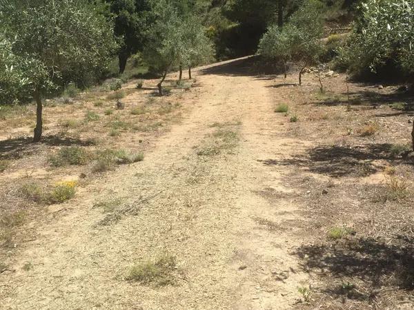 Terreno en carretera de Benifallim a torremanzanas, km 11 photo 1