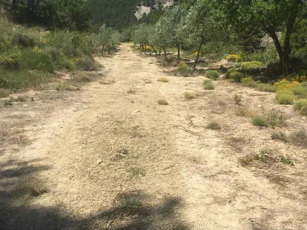 Terreno en carretera de Benifallim a torremanzanas, km 11 thumbnail 1