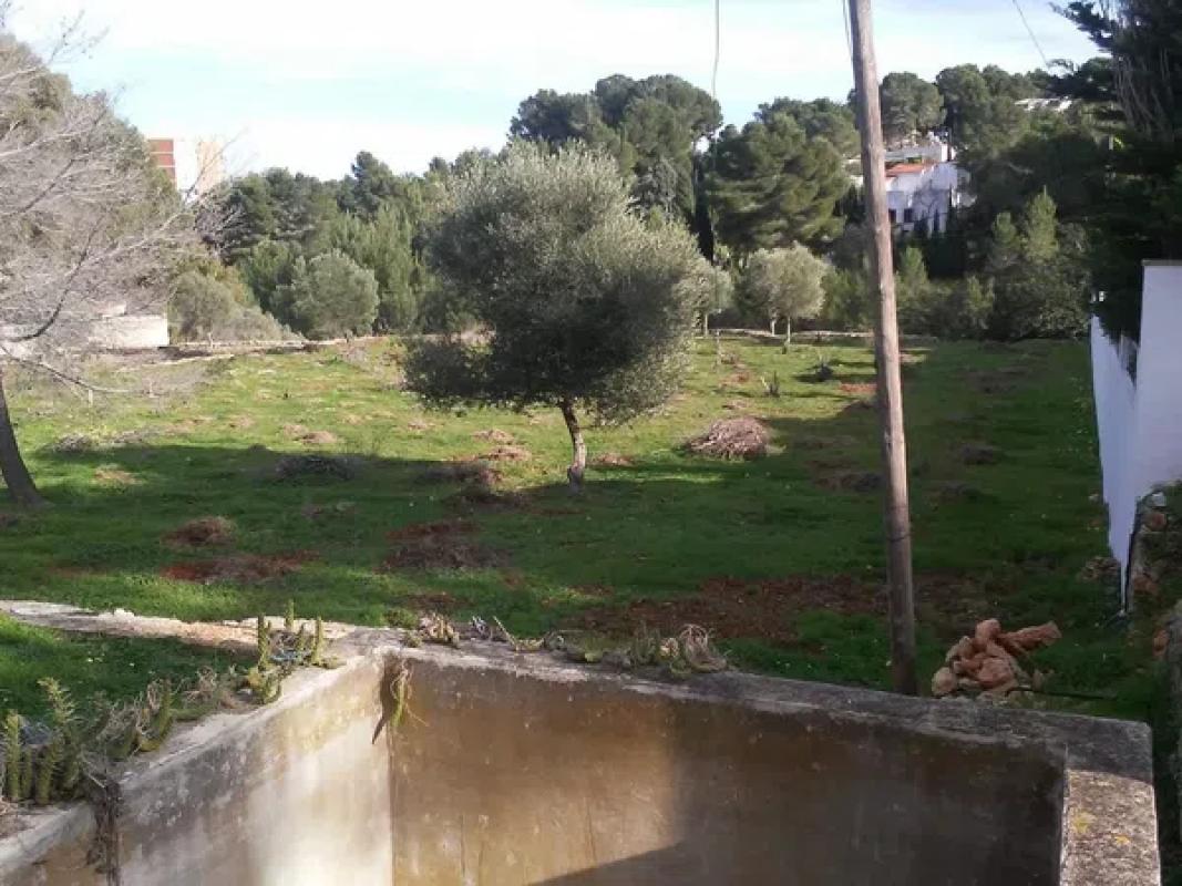Land for sale in Denia, Alicante photo 2