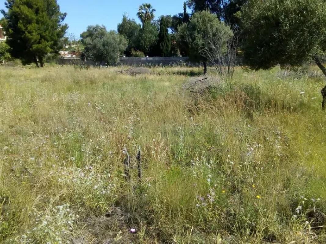 Land for sale in Denia, Alicante photo 3