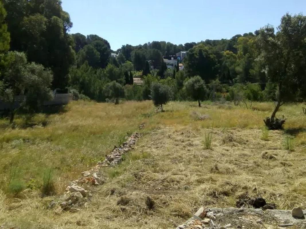 Land for sale in Denia, Alicante photo 4