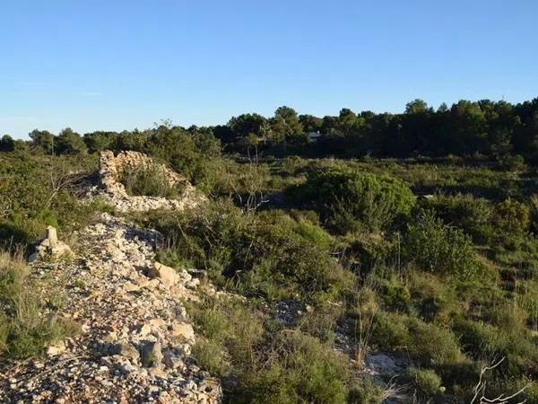 Terreno en carretera del Cap de Sant Antoni, 37 photo