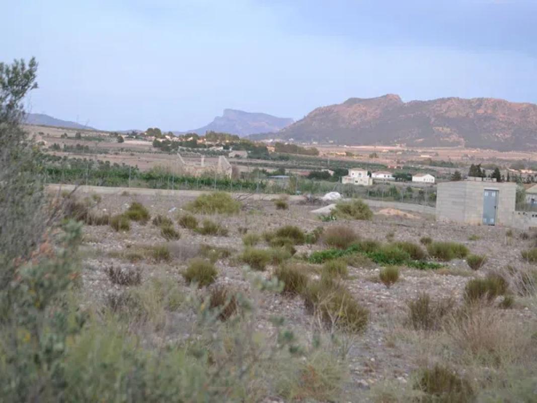 Działka na sprzedaż w Salinas, Alicante photo 2