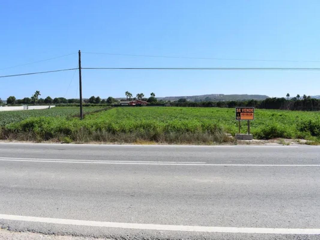 Terreno en venta en Guardamar del Segura, Alicante photo 2