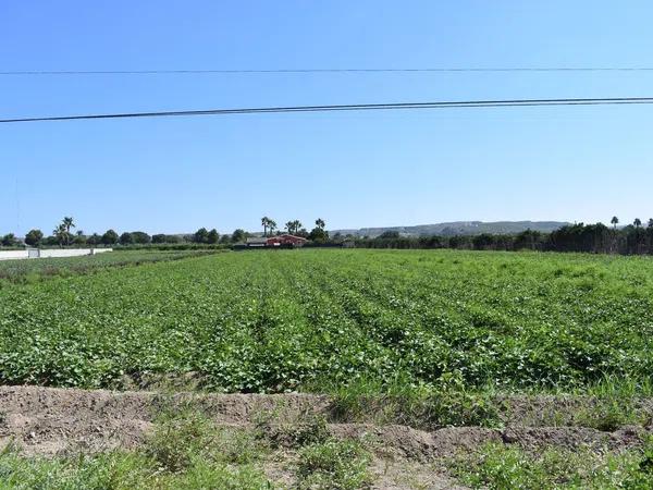 Terreno en Cv-920, km 2 thumbnail 2