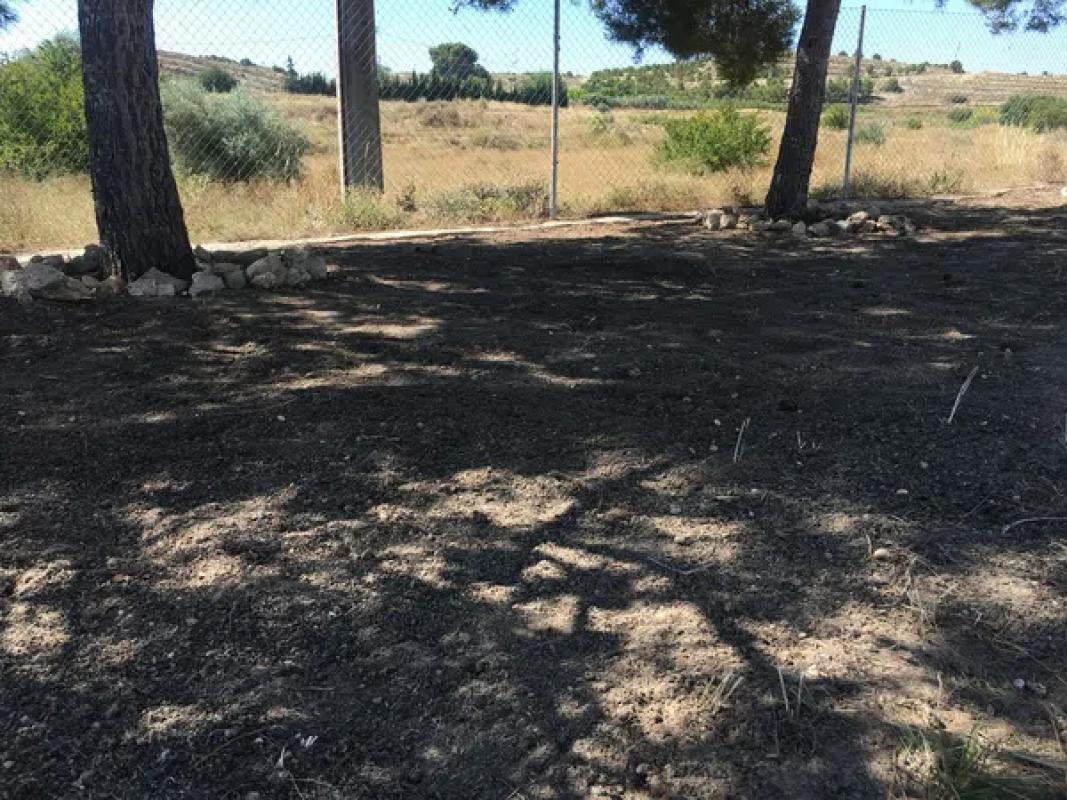 Terreno en venta en Elche / Elx, Alicante photo 4