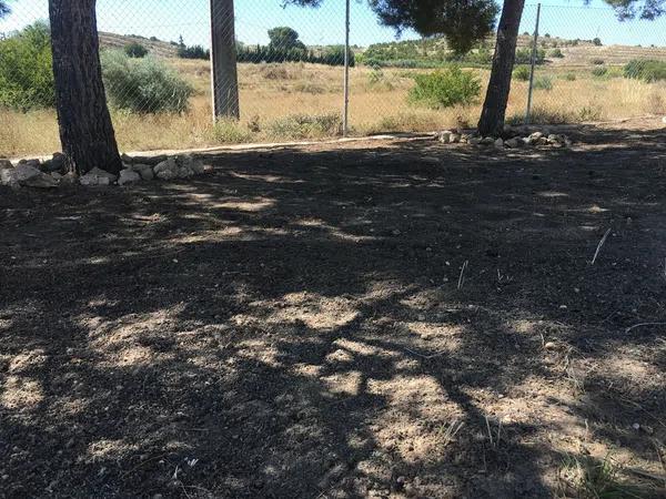 Terreno en Partida Santa Ana s/n photo 4