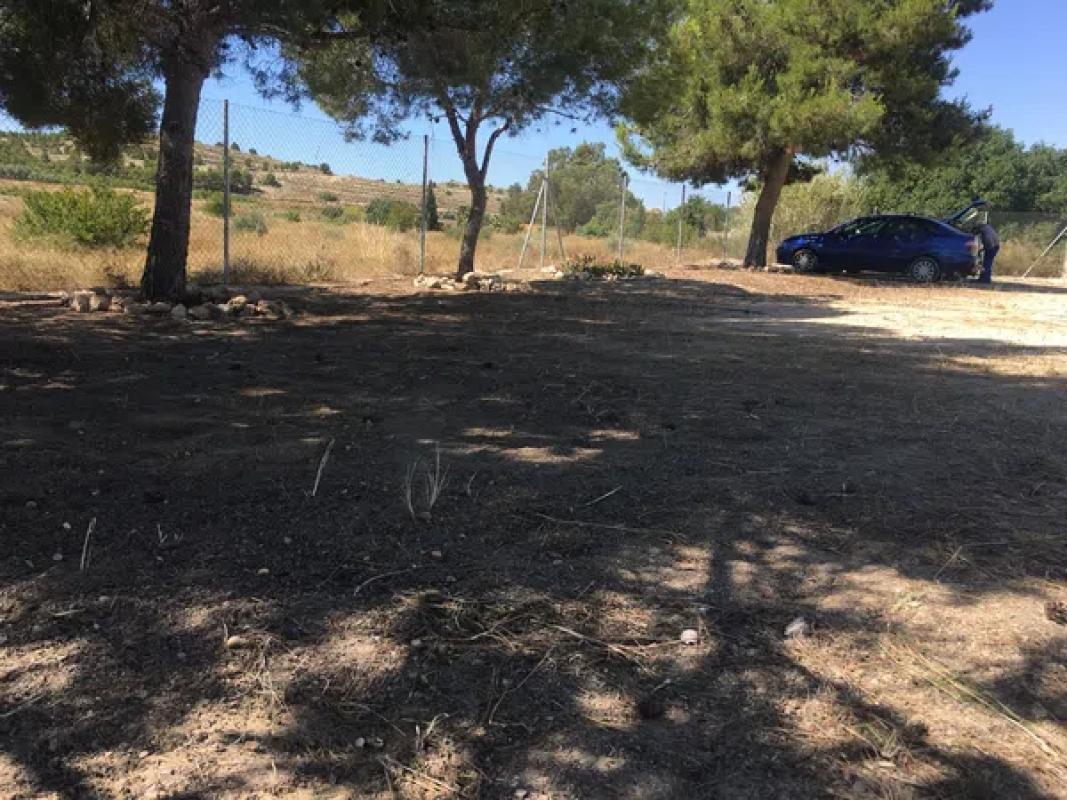 Terreno en venta en Elche / Elx, Alicante photo 5