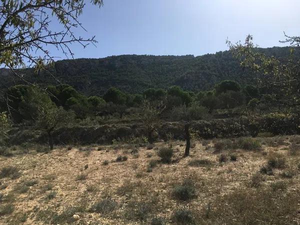 Terreno en Els Barrancons s/n photo 1