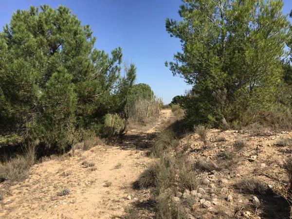 Terreno en Els Barrancons s/n photo 2