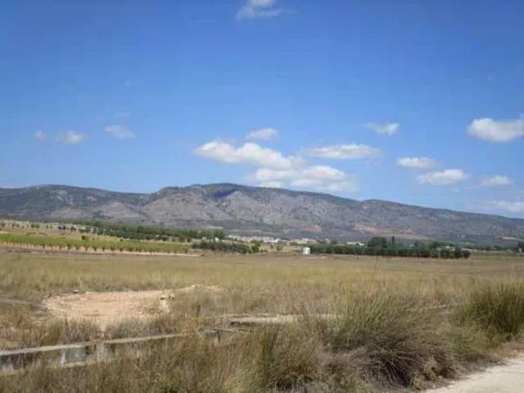 Terreno en venta en Biar, Alicante photo 4