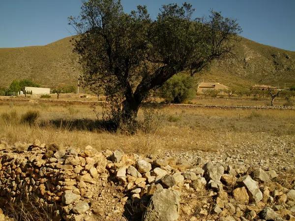 Terreno en carretera, km 35 photo 1