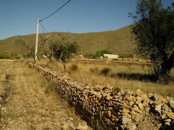 Terreno en carretera, km 35 photo 2