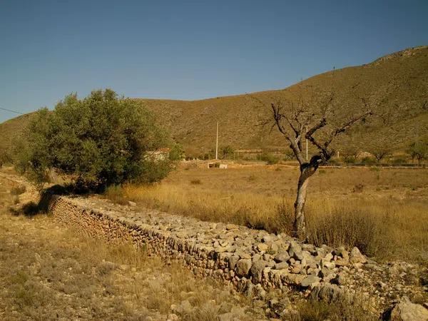 Terreno en carretera, km 35 photo 3