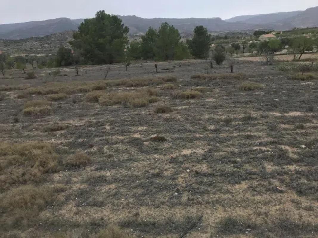 Terreno en venta en Relleu, Alicante photo 1