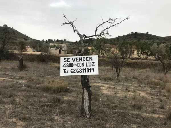 Terreno en paraje las macarobas, 7 photo 2