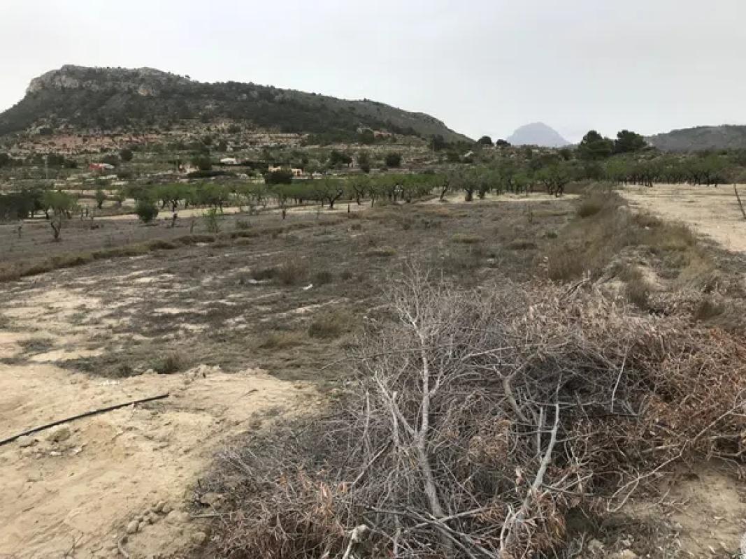 Terreno en venta en Relleu, Alicante photo 3