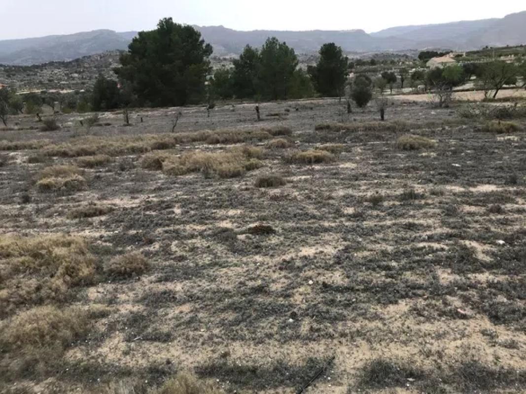 Terreno en venta en Relleu, Alicante photo 4