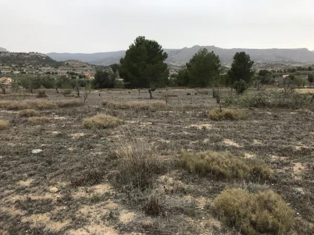 Terreno en venta en Relleu, Alicante photo 5