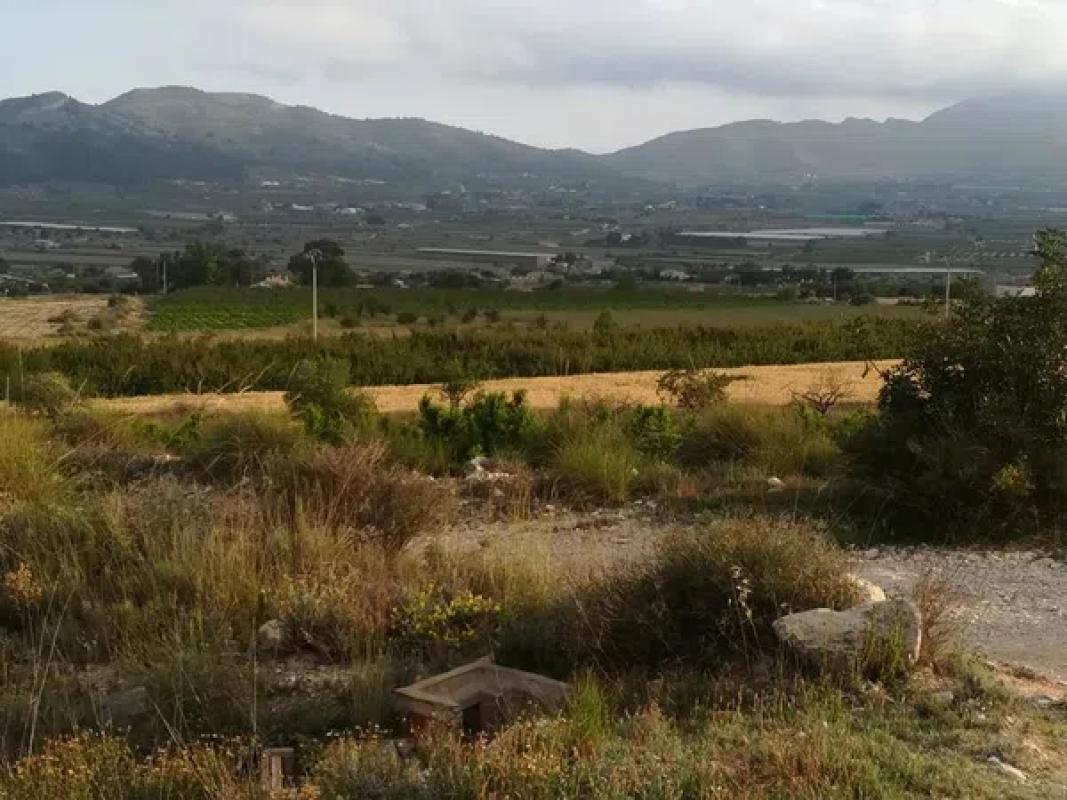 Terreno en venta en La Romana, Alicante photo 2