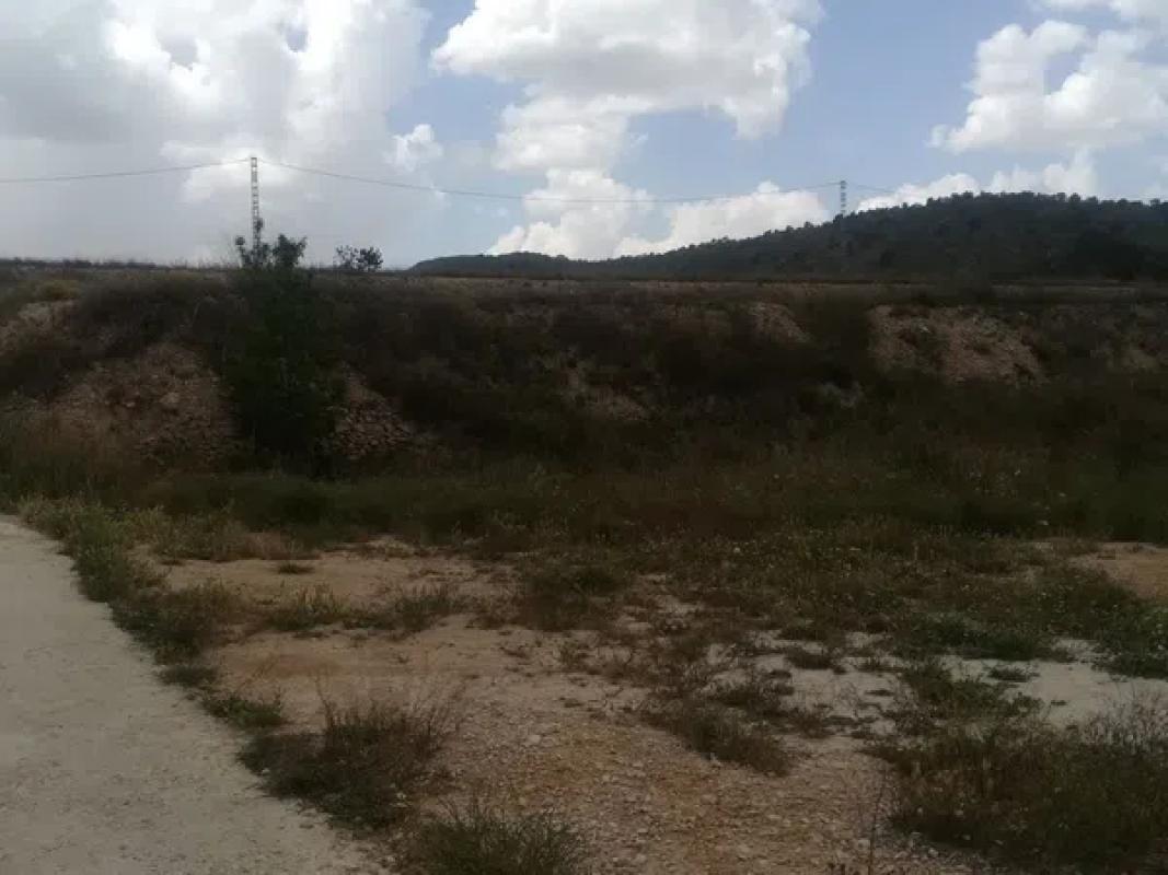 Terreno en venta en La Romana, Alicante photo 3