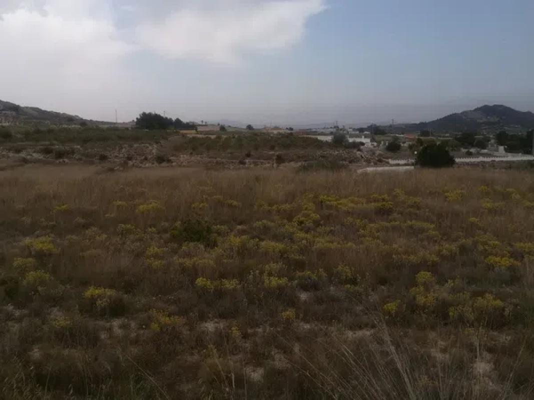 Terreno en venta en La Romana, Alicante photo 5