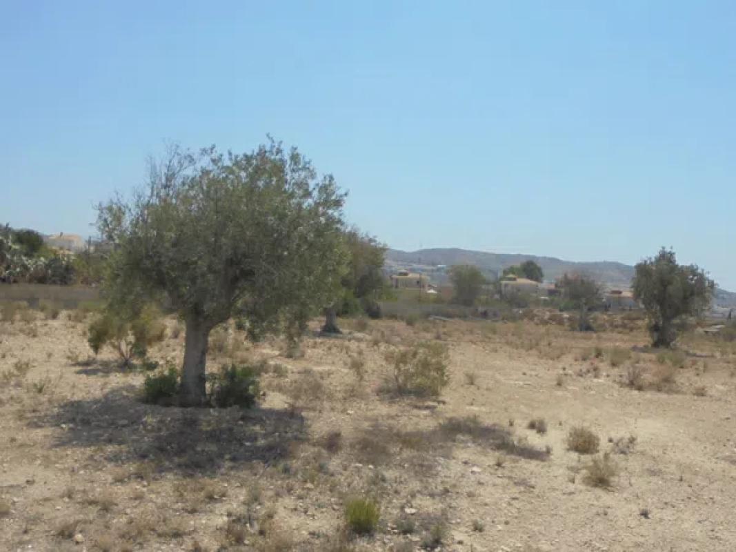 Działka na sprzedaż w Busot, Alicante photo 2