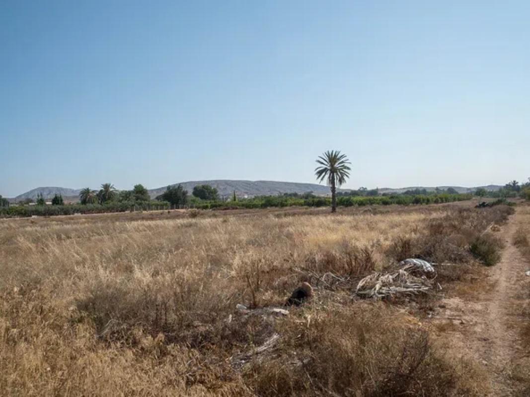 Terreno en venta en Elche / Elx, Alicante photo 5