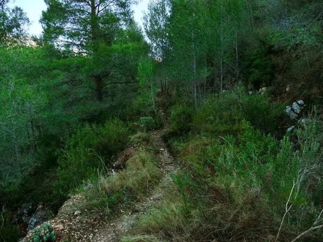 Działka na sprzedaż w Sella, Alicante photo 3