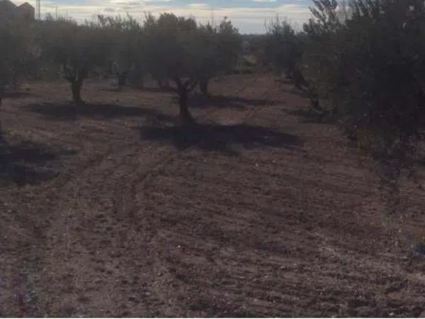 Terreno en bañeres s/n photo 1