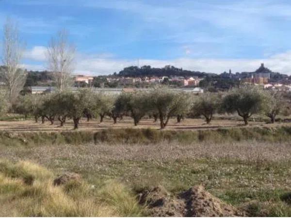 Terreno en bañeres s/n photo 2