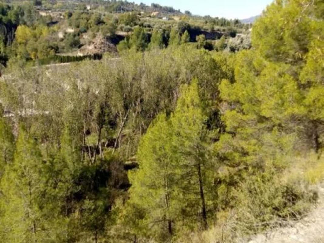 Terreno en venta en Penaguila, Alicante photo 2