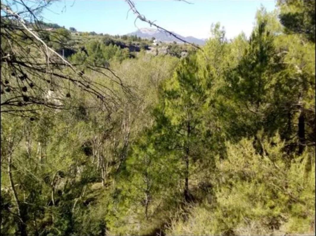 Terreno en venta en Penaguila, Alicante photo 4
