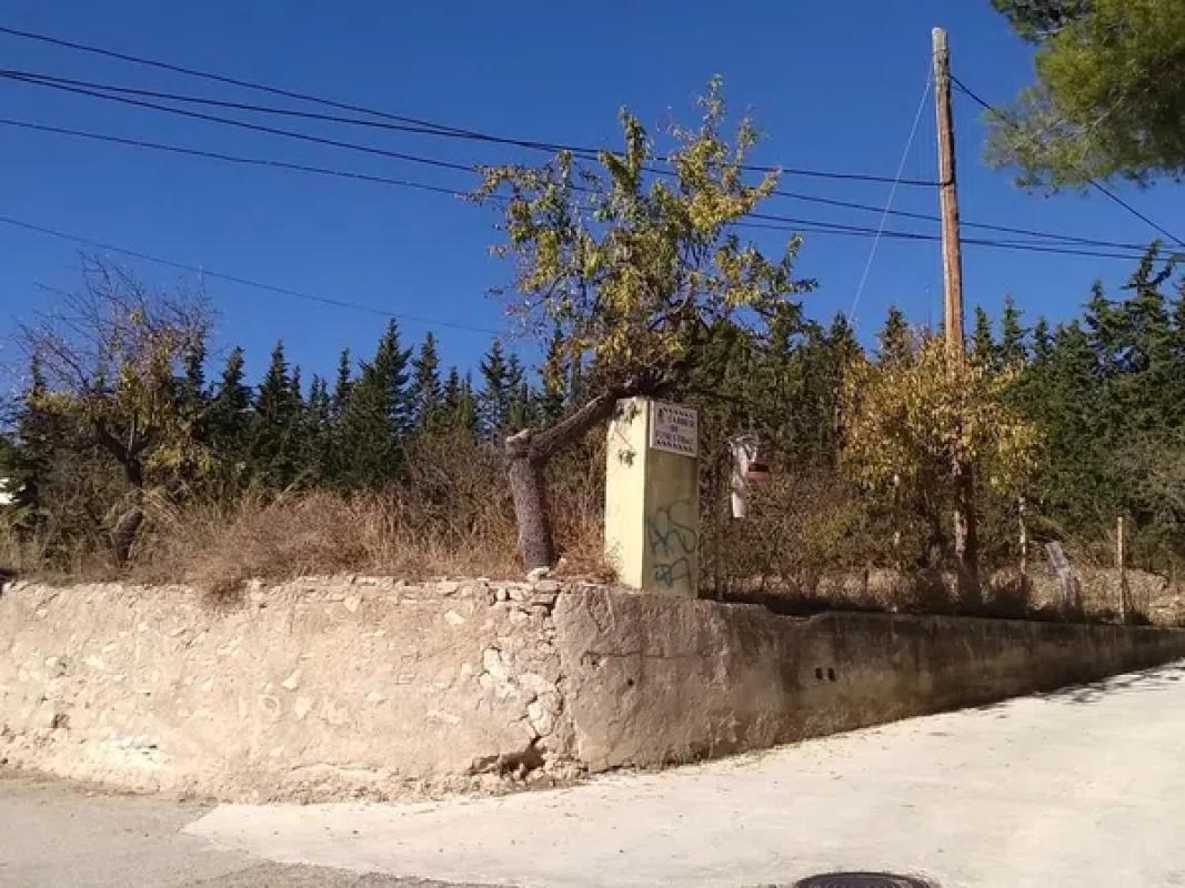 Land for sale in Torremanzanas, Alicante photo 3