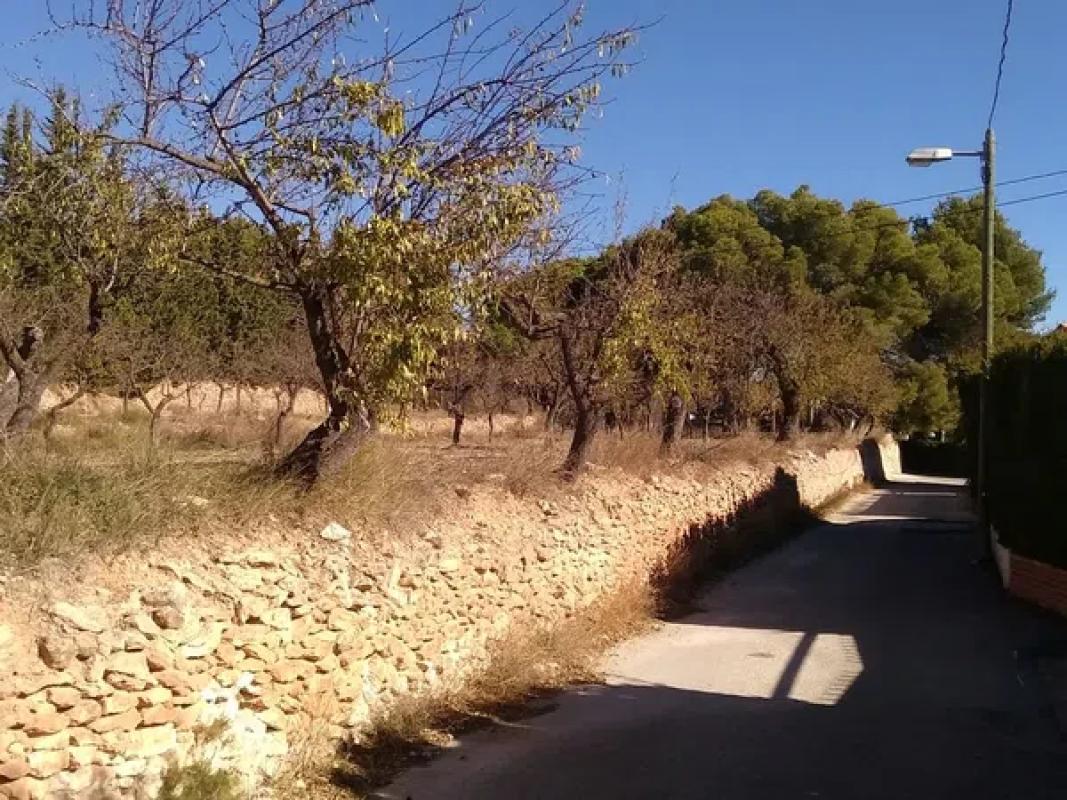 Land for sale in Torremanzanas, Alicante photo 5