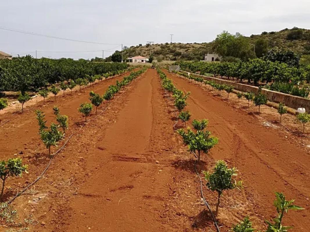 Terreno en venta en Pego, Alicante photo 1
