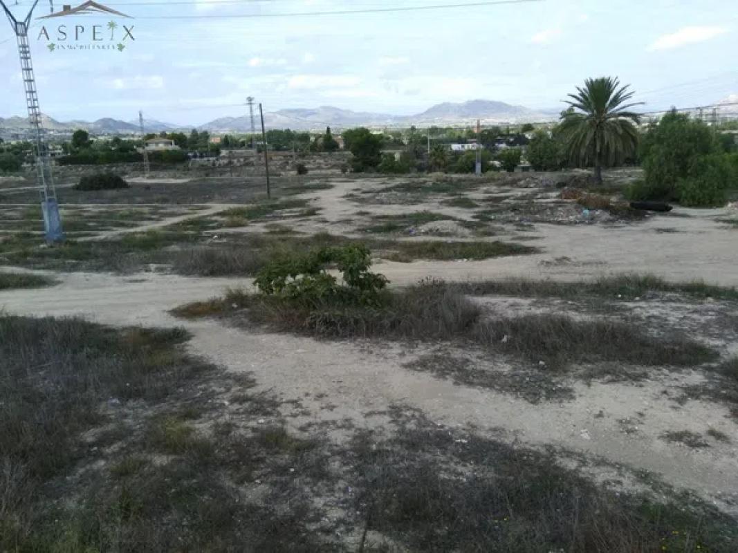 Terreno en venta en Aspe, Alicante photo 5