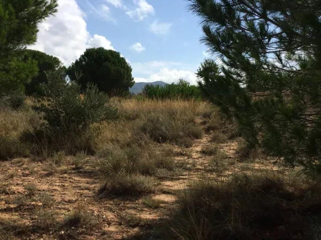 Terreno en venta en Biar, Alicante photo 1