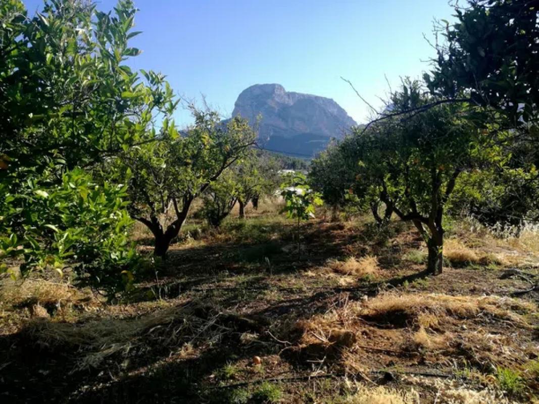 Terreno en venta en Polop, Alicante photo 1